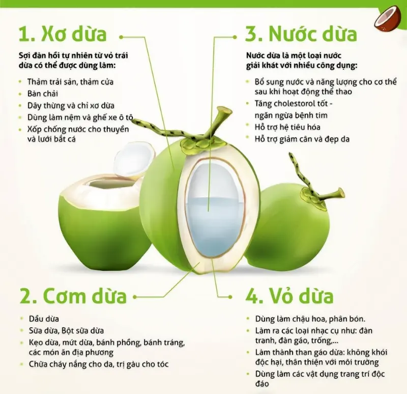 Nước cốt dừa giúp tăng cholestorol