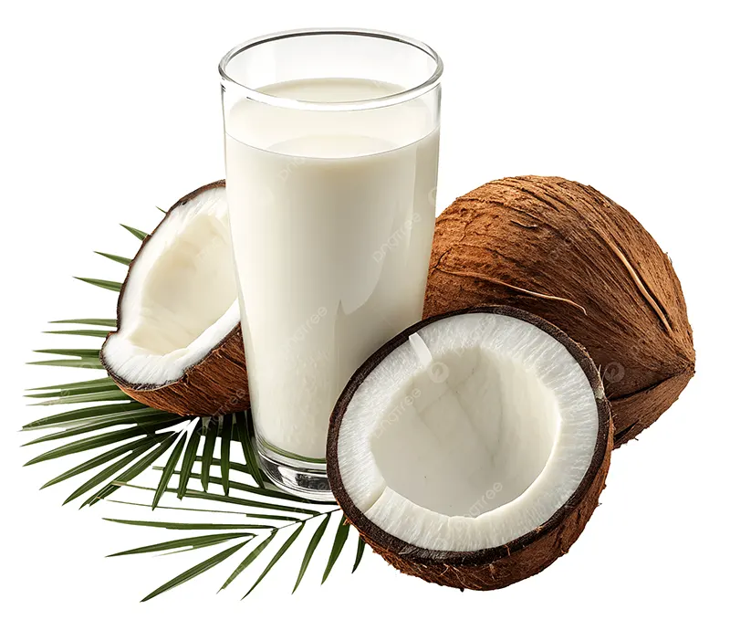Sữa dừa làm từ nước cốt dừa nguyên chất